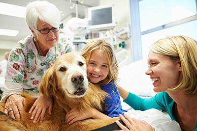 Собаки целители  Cancer-Therapy